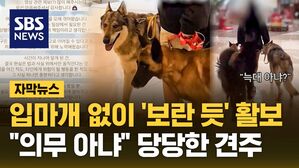 [자막뉴스] 입마개 없이 '보란 듯' 활보&hellip;"의무 아냐" 당당한 견주