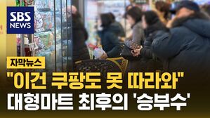 [자막뉴스] "이건 쿠팡도 못 따라와"&hellip;대형마트 최후의 '승부수'