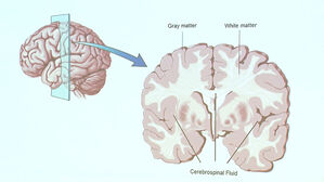 피부 뚫고 전신으로 퍼진다…"안전한 줄 알았는데" 반전 