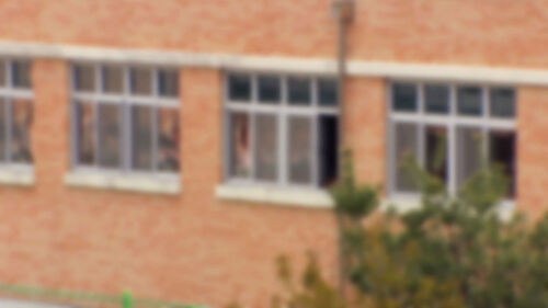 교사에 살충제 뿌린 귤 건넸는데…"고의 없음" 판단 논란