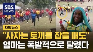 [자막뉴스] "사자는 토끼를 잡을 때도&hellip;" 엄마는 운동회에서도 폭발적으로 달렸다