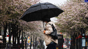 전국에 최대 40mm 비&hellip;곳곳 돌풍&middot;벼락 '주의'