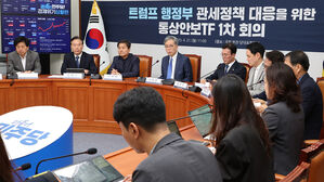민주 '관세 전쟁' 대책 논의&hellip;한 대행 견제&middot;정책 행보