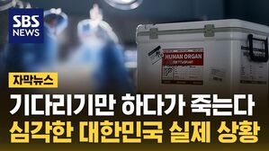 자막뉴스 장기기증