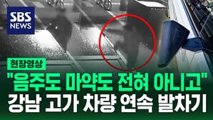 [영상] '퍽' '퍽' 길 걷다가 억대 고급 외제차에 난동 부린 남성의 최후