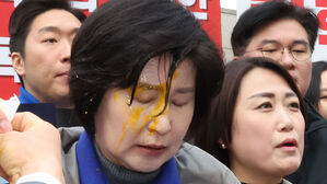 경찰, 백혜련 의원에 '계란 투척' 30대 남성 소환 조사