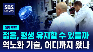 [D리포트] 죽지 않는 해파리처럼&hellip;젊음, 평생 유지할 수 있을까?