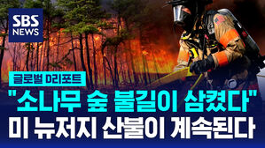 [글로벌D리포트] 미 뉴저지 산불 여의도 면적 18배 소나무숲 소실