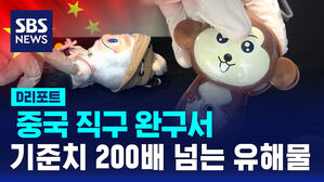 [D리포트] 중국 직구 완구서 기준치 278배 유해물질 검출