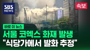 [바로이뉴스] 서울 코엑스에서 대형 화재 "식당가부터 자욱한 연기로 가득"