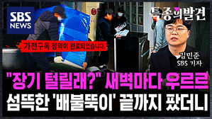 [특종의 발견] "장기 털릴래?" 새벽마다 우르르 섬뜩한 '배불뚝이' 끝까지 팠더니