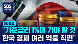 [D리포트] "기준금리 1%대 가야 할 것…한국 경제 여러 역풍 직면"