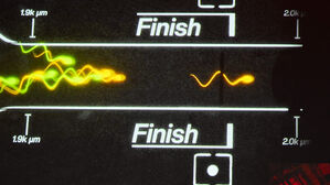 세상에 이런 대회가&hellip;미국서 세계 첫 '정자 시합' 열려