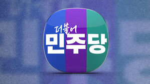 민주당, '거부권' 한 대행 향해 "윤석열 하수인"