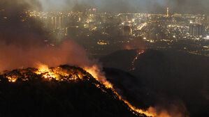 대구 북구 "함지산 산불 완전 진화…재발화 위험요소 없어"