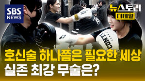 뉴스토리 디테일 호신술