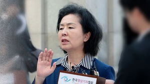 김건희특검, 김영선에 소환통보…'공천개입' 수사 속도