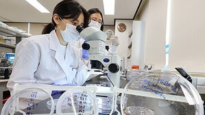 "벌써 모기가"&hellip;말라리아 환자 이달 들어 큰 폭 증가