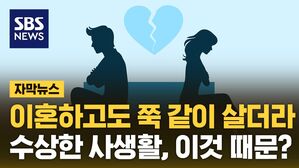 자막 위장 이혼