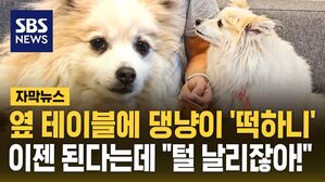 [자막뉴스] 옆 테이블에 댕냥이 '떡하니'&hellip;이젠 된다는데 "털 날리잖아!"