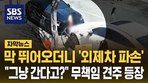 [자막뉴스] 순식간에 파손된 외제차&hellip;"그냥 간다고?" 무책임 견주 등장