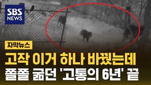 자막 울타리