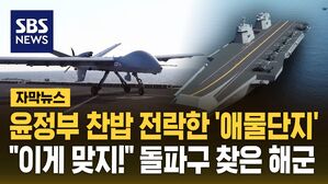 [자막뉴스] 윤정부 찬밥 전락한 '애물단지'&hellip;"이게 맞지!" 돌파구 찾은 해군
