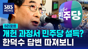 섬네일 이미지:[사실은] 개헌 과정에 민주당 설득 가능?…한 후보 답변 따져보니 (D리포트)