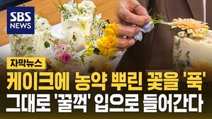 [자막뉴스] 케이크에 농약 뿌린 꽃을 '푹'&hellip;그대로 '꿀꺽' 입으로 들어간다