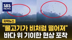 [자막뉴스] 강력한 회오리 바람 불자 "물고기가 비처럼 떨어져"