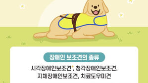 장애인 보조견 홍보문 (사진=대전시 제공, 연합뉴스)