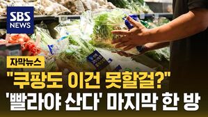 [자막뉴스] "쿠팡도 이건 못할걸?"&hellip;'빨라야 산다' 마지막 한 방
