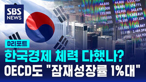 [D리포트] 한국 경제 체력 다했나?&hellip;OECD도 "잠재성장률 1%대"
