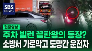 [영상] 소방서 앞 막은 '주차 빌런' 담 넘어 사라지더니 경찰서에 와서 자백한 말