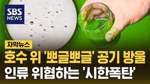 [자막뉴스] 호수 위 '뽀글뽀글' 공기 방울&hellip;인류 위협하는 '시한폭탄'