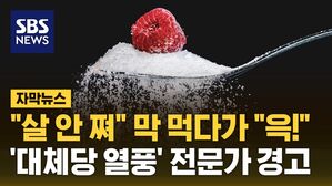 자막뉴스 대체당 열풍