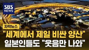 [자막뉴스] 3천억 썼는데 "세계에서 제일 비싼 양산"&hellip;일본인들도 "웃음만 나온다"
