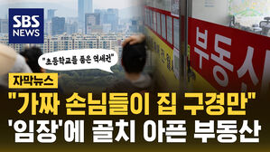 [자막뉴스] "집 구경만 하시는 가짜 매수자들 때문에" 골치 아픈 부동산 시장