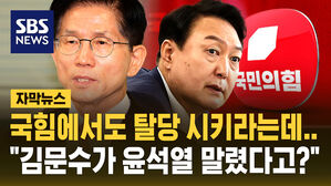 [자막뉴스] "김문수가 윤석열 탈당하지 말라고 했다고? 그런 적 없어" 즉각 반박한 김문수