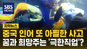 SBS NEWS 자막 뉴스 중국 인어 또 아찔한 사고 꿈 과 희망 주는 ' 극한 직업 ' ?