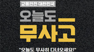 정부, 페달 잘못밟는 사고 막는다&hellip;고위험자 '조건부 면허' 검토