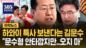 [자막뉴스] 김문수가 '하와이 설득조' 보낸다고 하자&hellip;"문수형 안타깝지만 오지 마" 거절한 홍준표