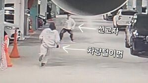 아파트 주차장서 '딱 걸린' 복면 차털이범&hellip;주민 눈썰미로 검거