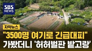 자막 지진해일