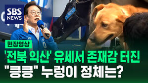 [현장영상] '전북 익산' 이재명 유세 현장서 존재감 터진  "킁킁" 누렁이 정체는?