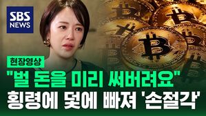 [영상] "벌 돈을 써버려요" 황정음 코인 투자 전말은? "싱글맘 응원했는데" 충격