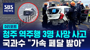 [D리포트] 청주 역주행 3명 사망 사고&hellip;"가속 페달 밟았다"