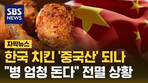 [자막뉴스] 한국 치킨 '중국산' 위기&hellip;"병 엄청 돈다" 전멸 상황