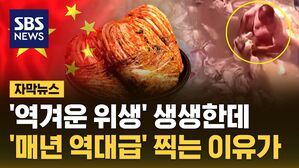 자막뉴스 중국 김치
