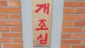 강화도서 목줄 끊은 풍산개에 물린 60대 사망&hellip;견주 집행유예